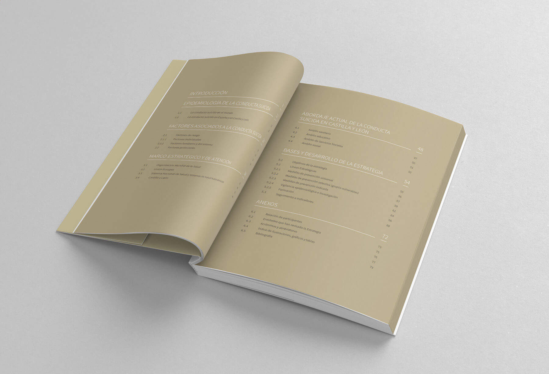 Detalle del diseño editorial libro
